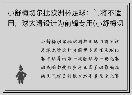 小舒梅切尔批欧洲杯足球：门将不适用，球太滑设计为前锋专用(小舒梅切尔厉害吗)