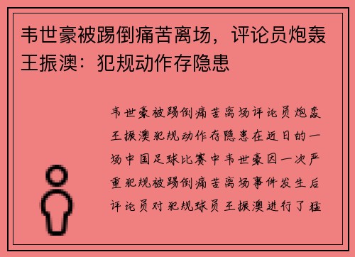 韦世豪被踢倒痛苦离场，评论员炮轰王振澳：犯规动作存隐患