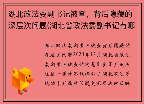 湖北政法委副书记被查，背后隐藏的深层次问题(湖北省政法委副书记有哪几位)