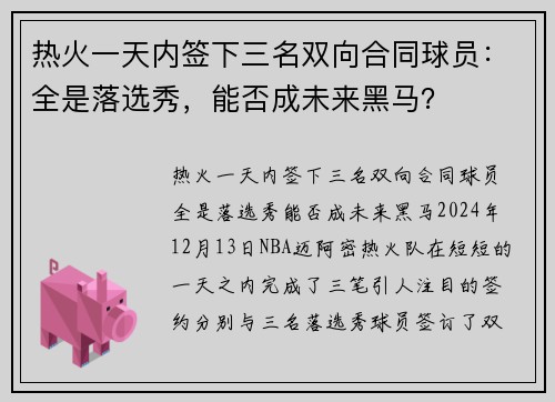 热火一天内签下三名双向合同球员：全是落选秀，能否成未来黑马？